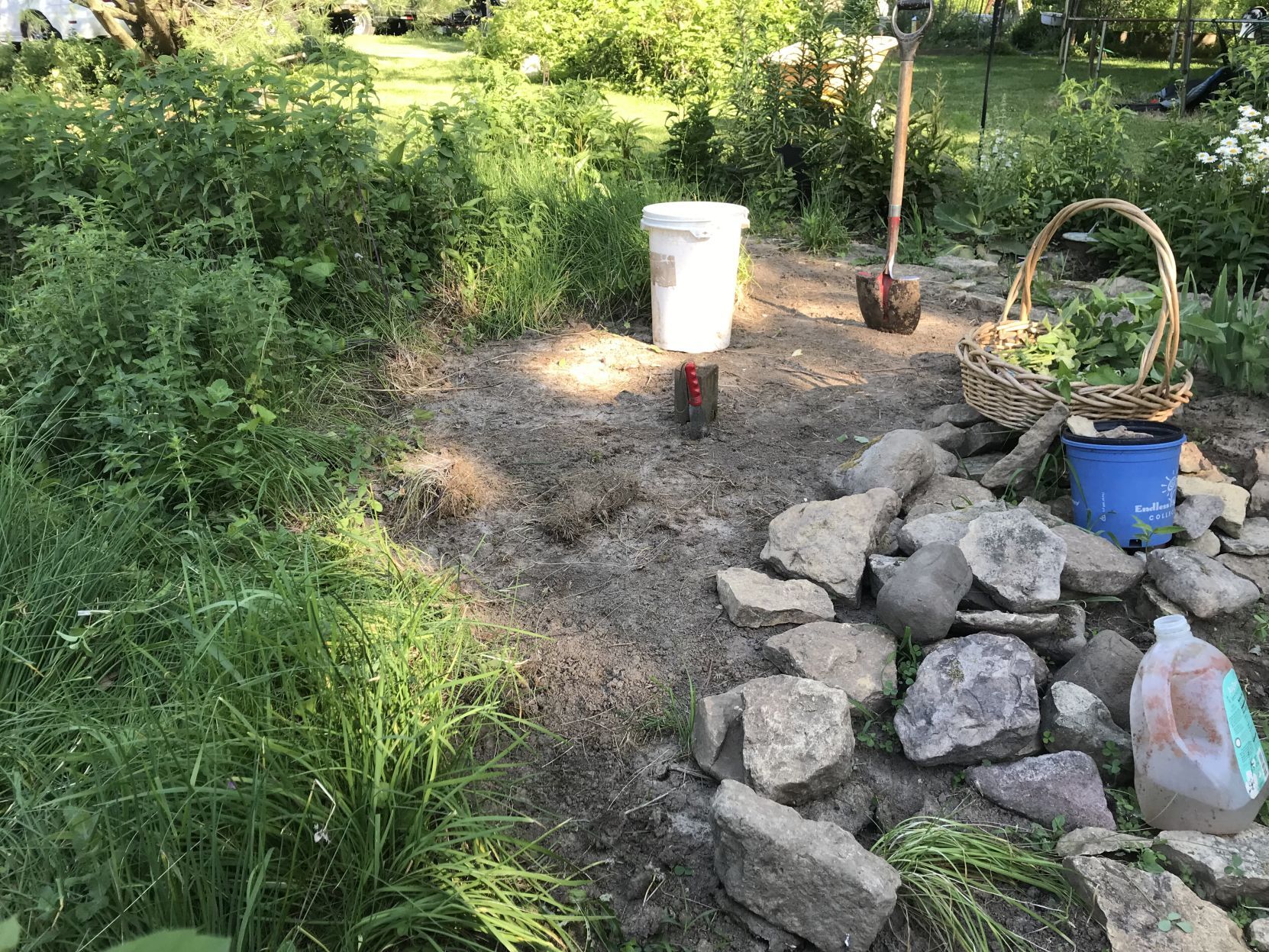 Pat Greathead's garden "before"